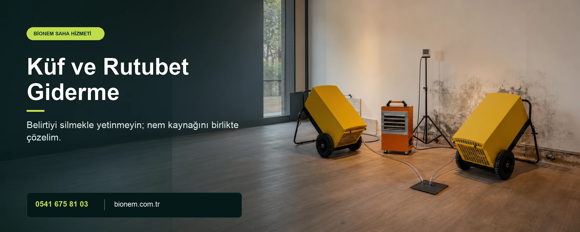 Küf ve Rutubet Giderme